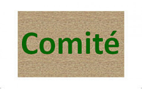 Finale de la Coupe du Comité 2018-2019