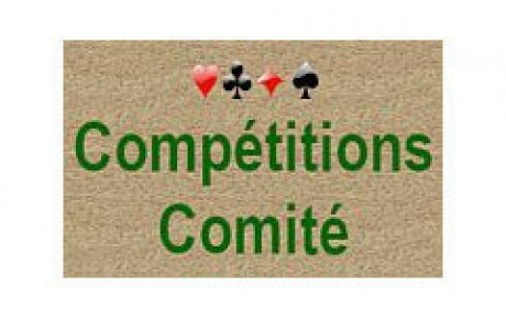 Finale de comité - Challenge hiver par paires le 27/11/2024